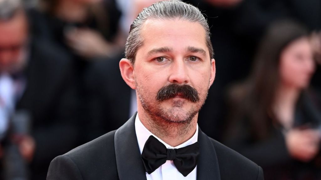 Shia LaBeouf Sentenced to Probation, Rehab in New Orleans Case — Report image