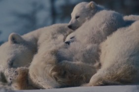 Nuisance Bear Oscars 2027 Best Documentary Prediction A24 Film