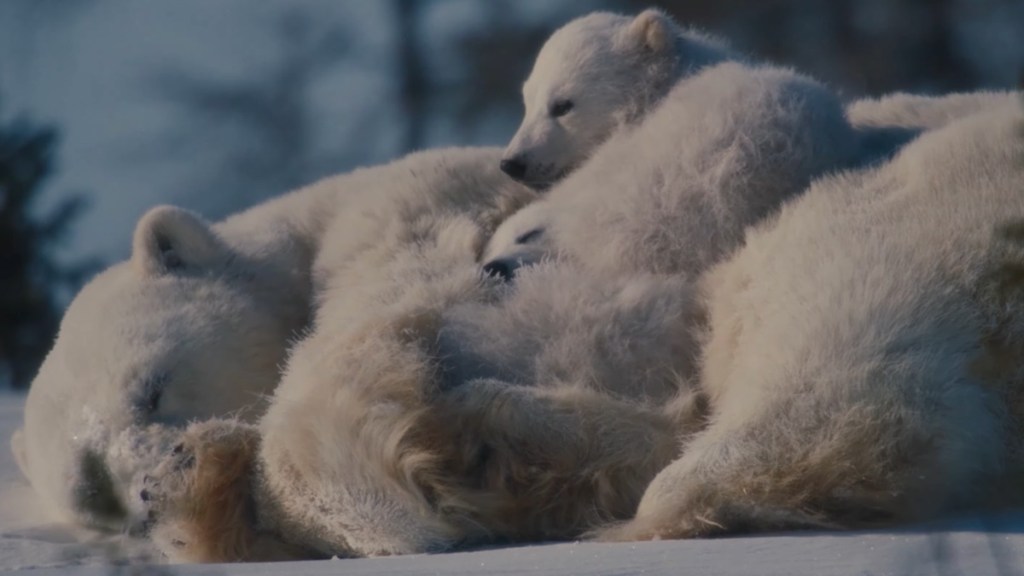 This A24 Film Could Win an Oscar in 2027
