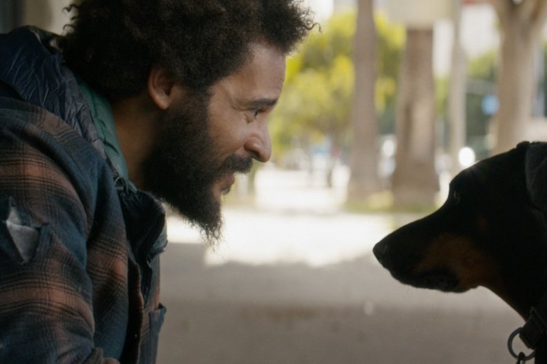New Dog Movie Rescued Trailer Features Lindsey Shaw & David DeLuise | Exclusive