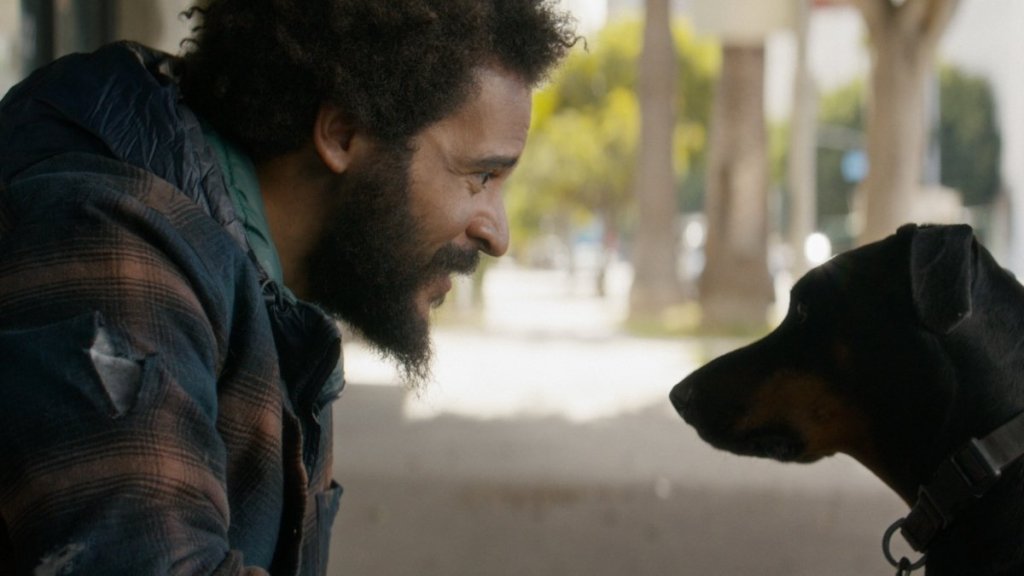 New Dog Movie Rescued Trailer Features Lindsey Shaw & David DeLuise | Exclusive