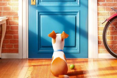 Sing 3 & Secret Life of Pets 3 Gets Fresh Updates After Years of Silence