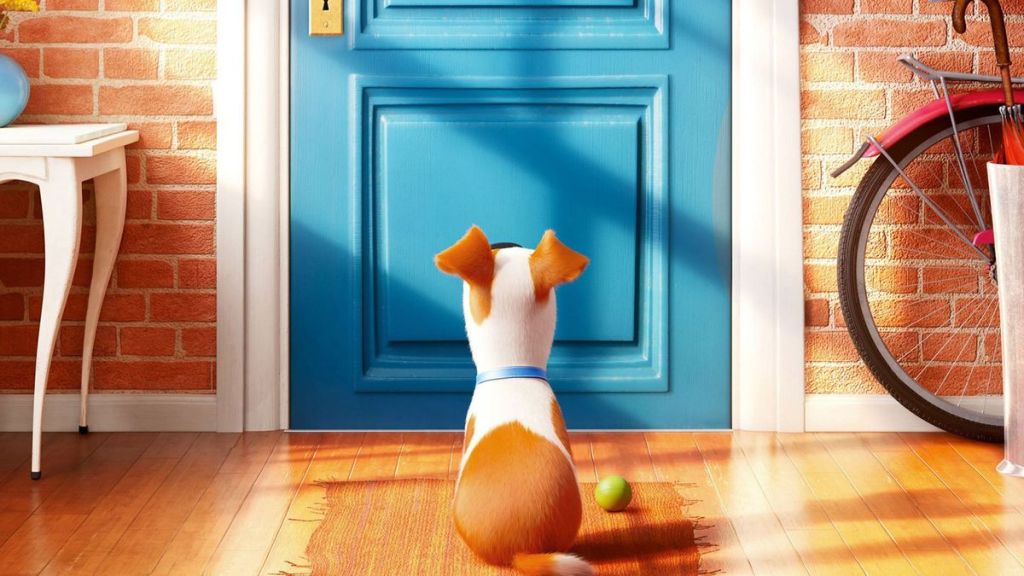 Sing 3 & Secret Life of Pets 3 Gets Fresh Updates After Years of Silence image