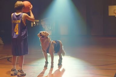 Air Bud Returns Trailer Brings Dog & Pet Lover’s Favorite Franchise Back to Movie Theaters