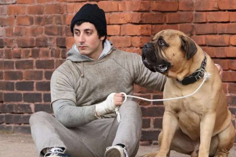 I Play Rocky Trailer: Watch Paramount+ Star Transform Into Sylvester Stallone for New Movie