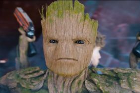 GOTG's Vin Diesel Gives Groot Fans New Hope MCU Spin-off Movie Is Happening