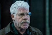 Ron Perlman Cast as a Charismatic Doctor in New Thriller With Teri Polo
