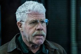 Ron Perlman Cast as a Charismatic Doctor in New Thriller With Teri Polo