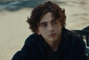 Timothée Chalamet Movie With 99% RT Score Joins Hulu Today