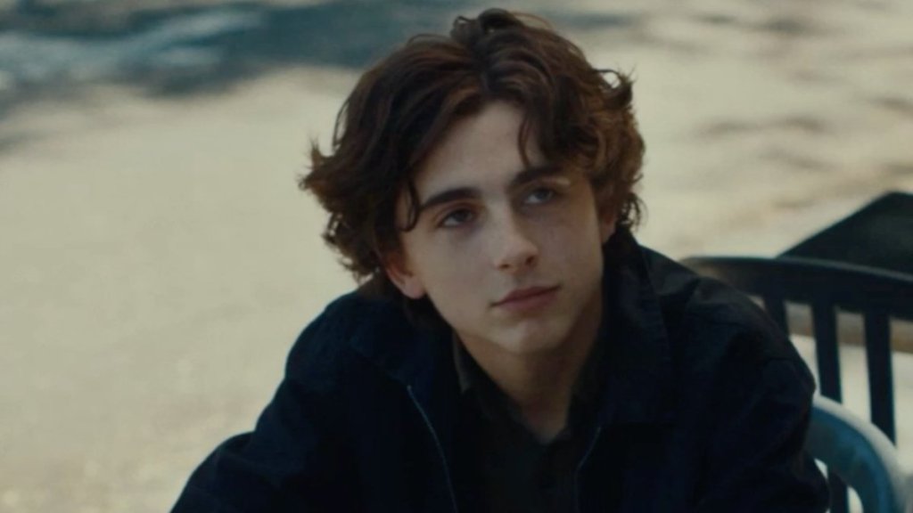 Timothée Chalamet Movie With 99% RT Score Joins Hulu Today image