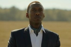 Acclaimed Mahershala Ali Movie That Will Make You Cry Joins Hulu Today