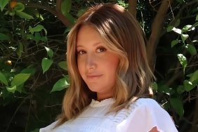 Ashley Tisdale Is a Toxic Mom in New Netflix TV Show, Ali Wong & 1 More Also Star