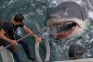 4 Iconic Shark Movies Bite Onto Peacock Today, Including Jaws