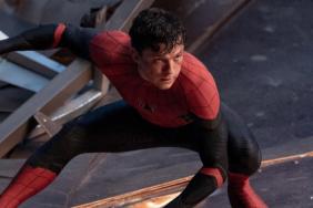 Punisher’s Spider-Man 4 Role Has a Key Link to No Way Home’s Ending