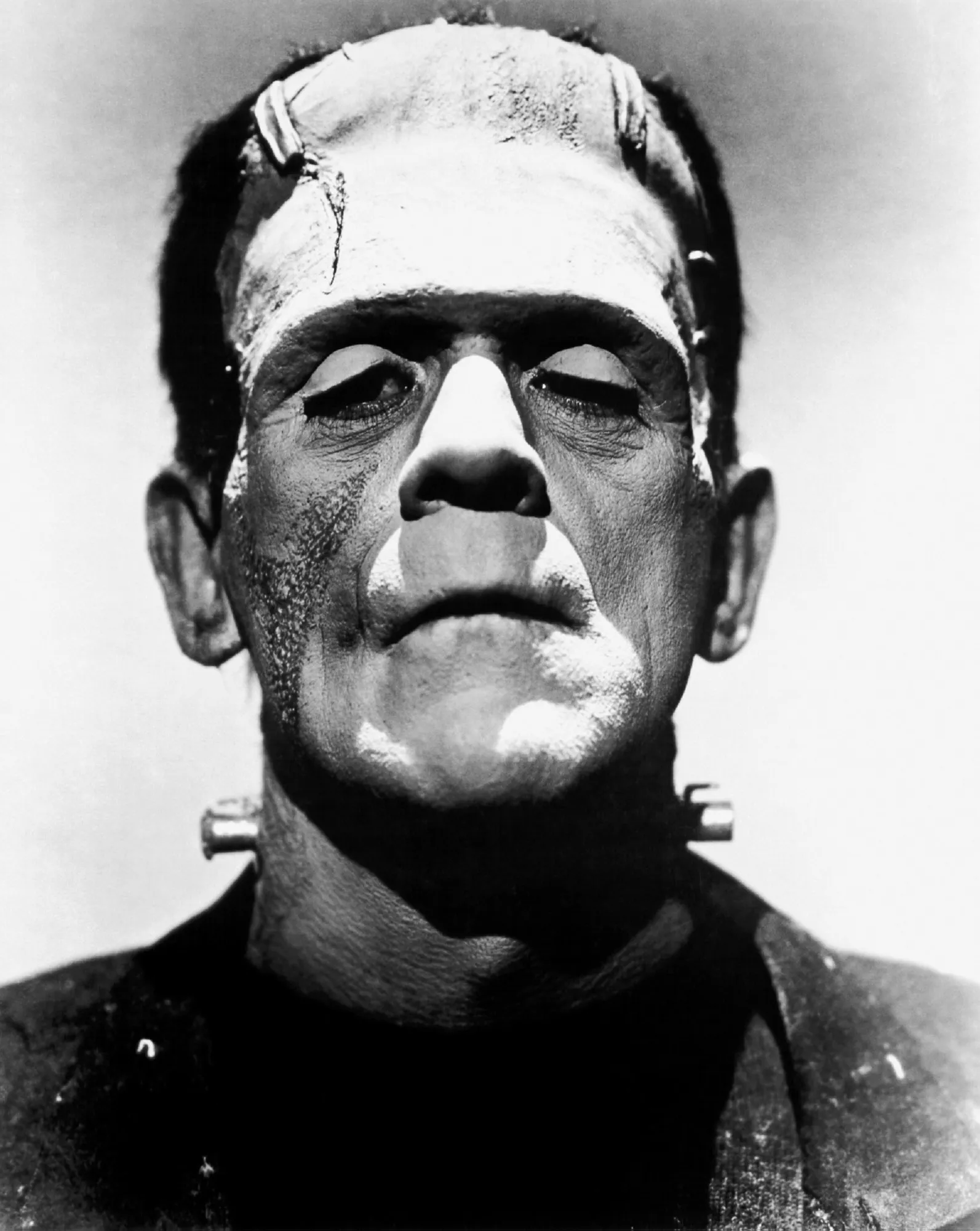 Frankenstein's Monster, Frankenstein (1931)
