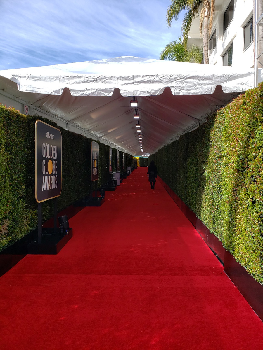 2020 Golden Globes Red Carpet