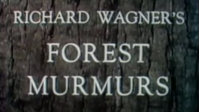 'Forest Murmurs'