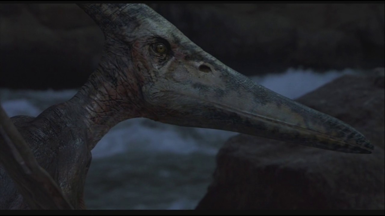 Pteranodon in JURASSIC PARK III (2001)