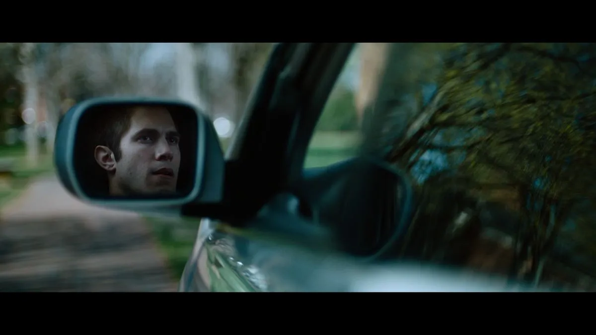 American Animals
