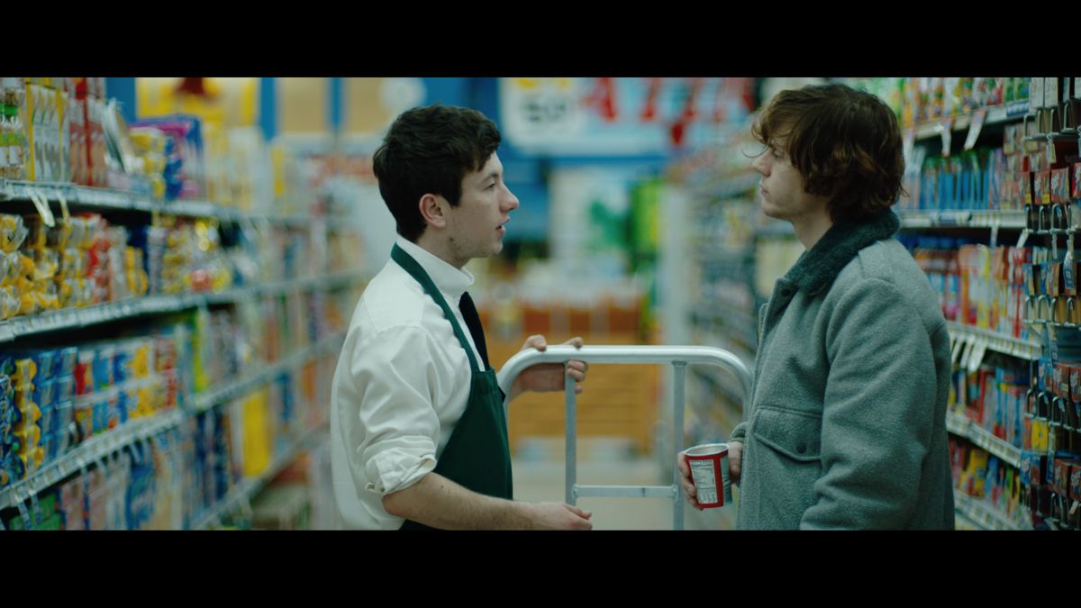American Animals