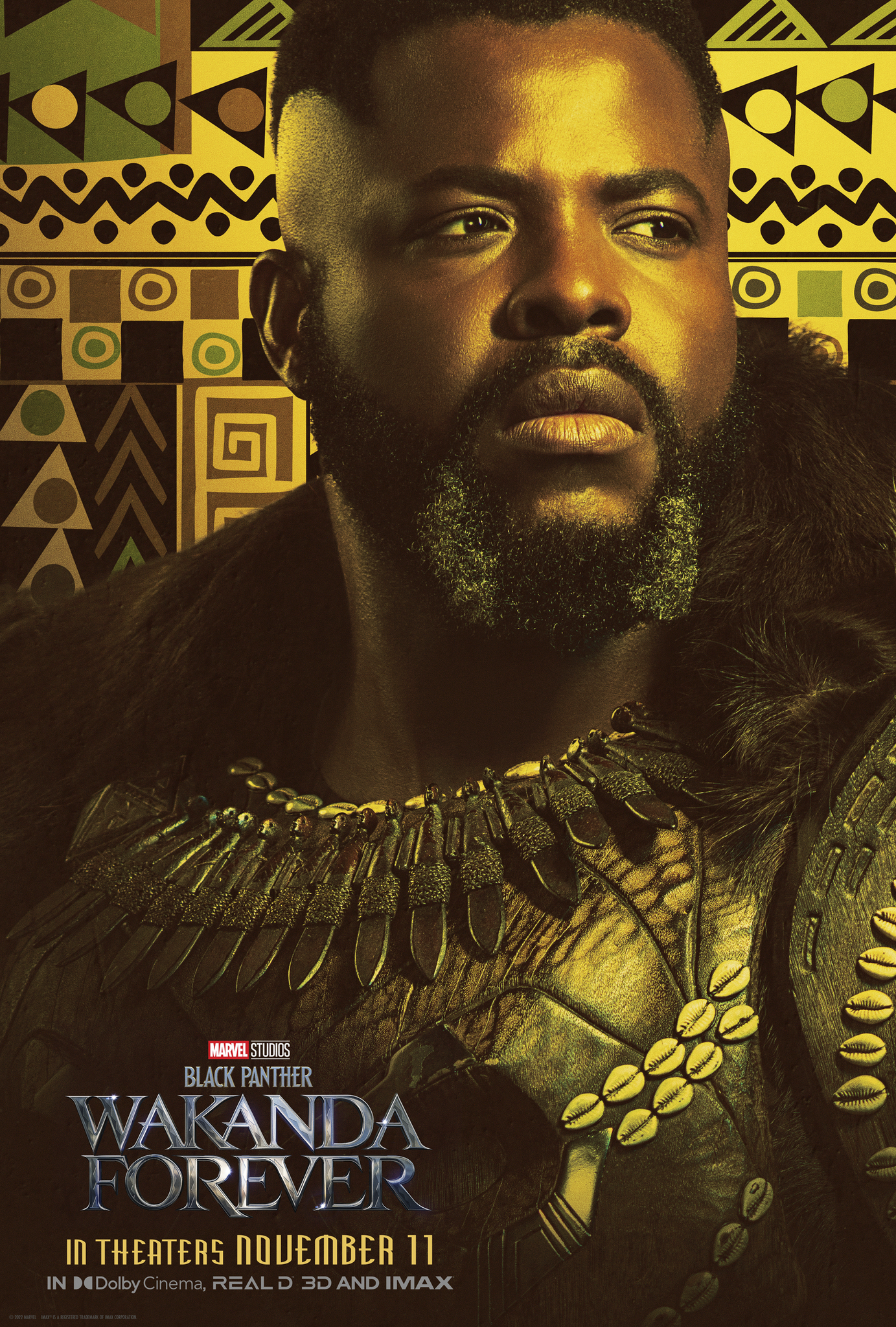 Black Panther: Wakanda Forever Character Posters
