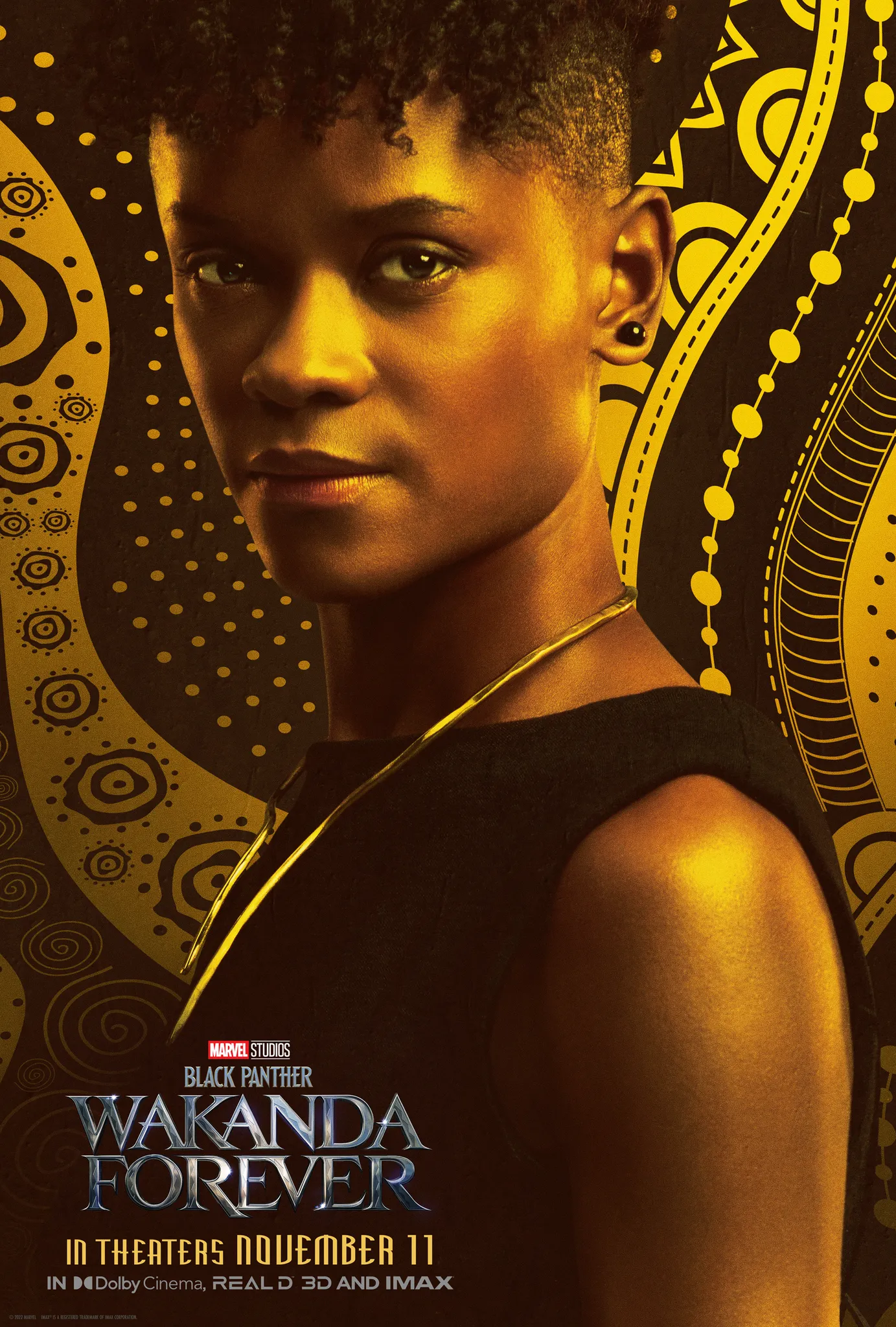 Black Panther: Wakanda Forever Character Posters