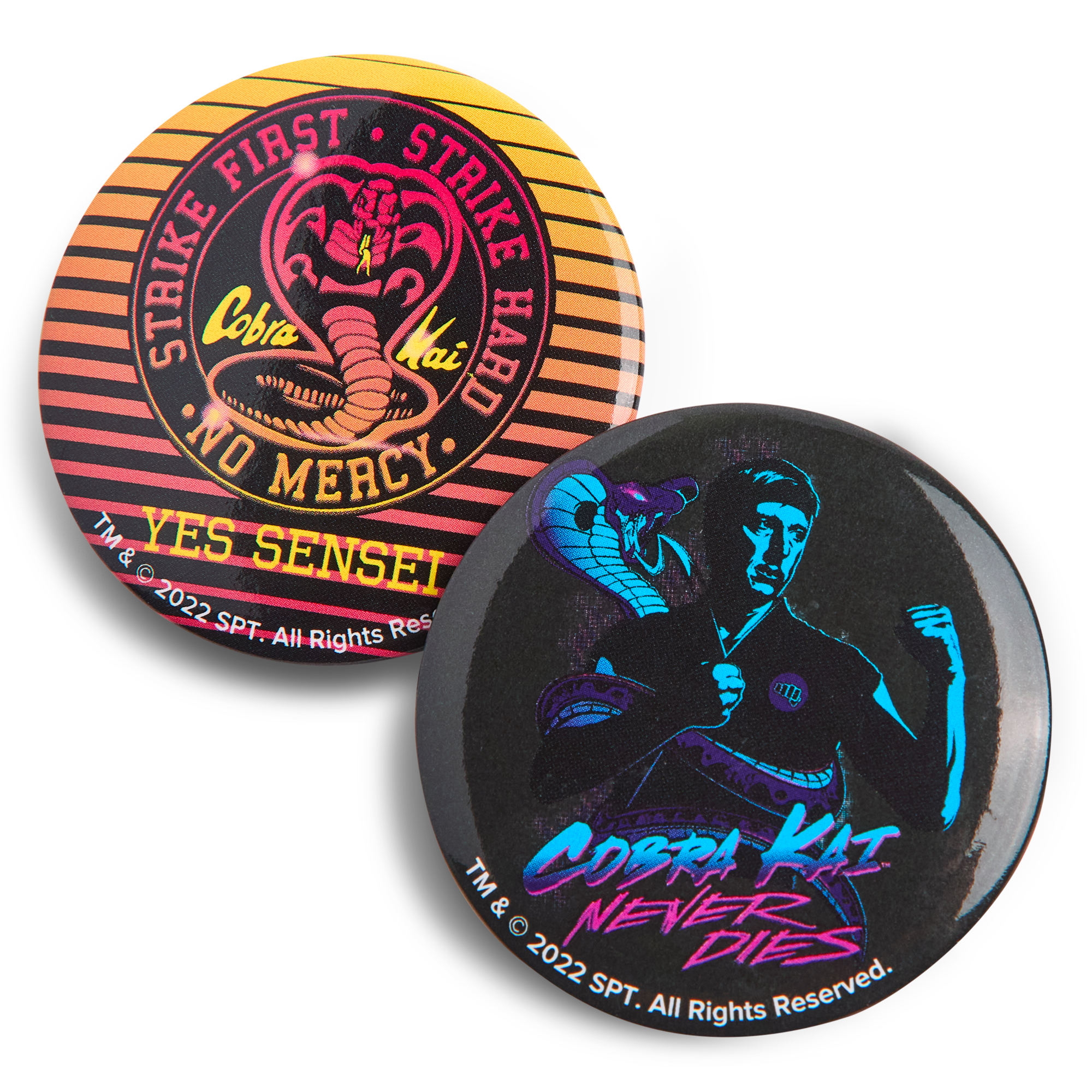 Cobra Kai Limited Edition Crate Series