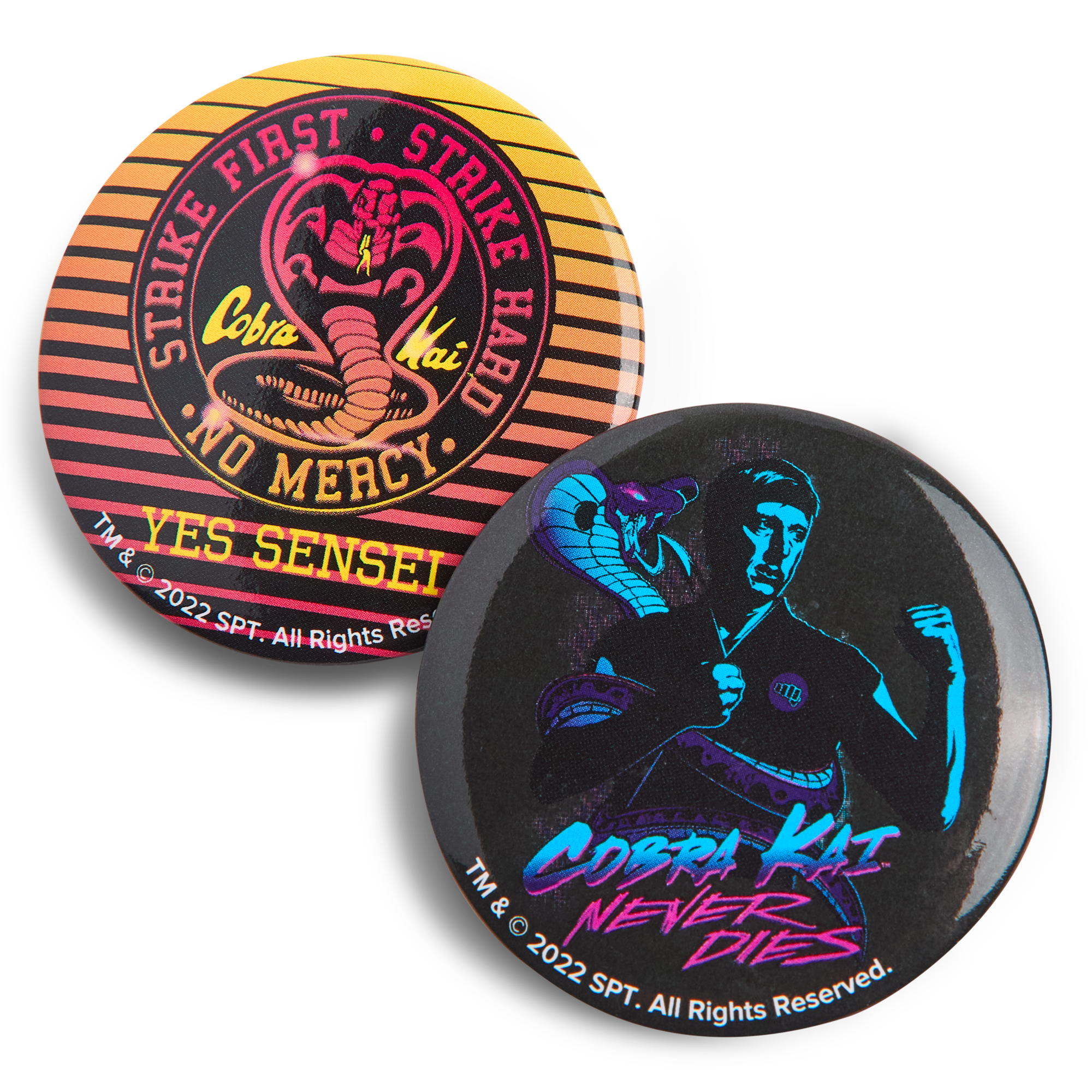 Cobra Kai Limited Edition Crate Series