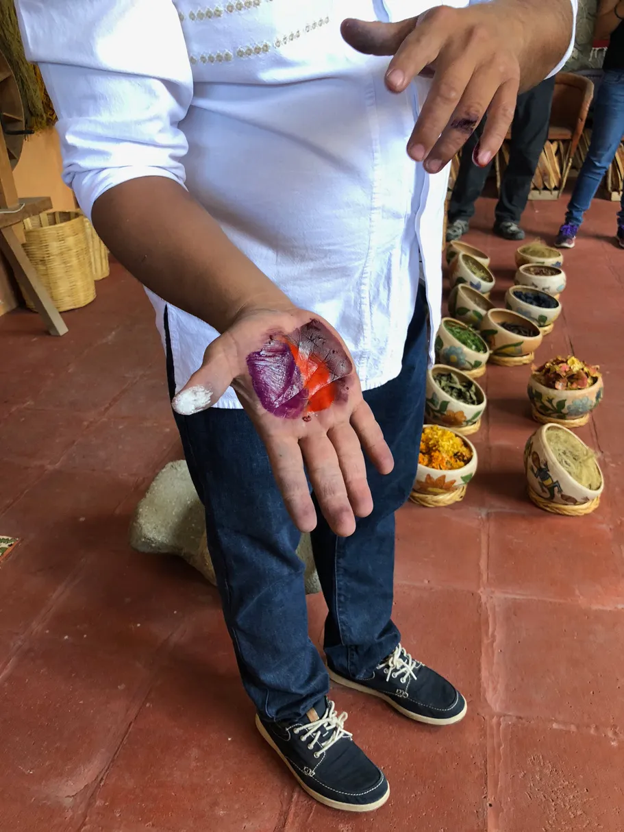 Teotitlán del Valle Tour with Master Weaver Nelson Perez 