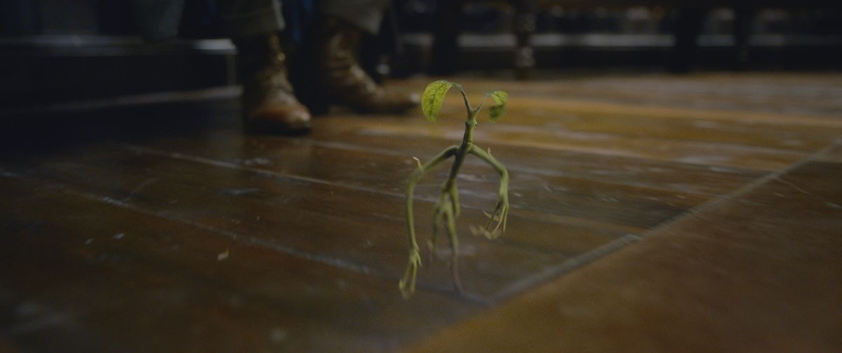 Fantastic Beasts: The Crimes of Grindelwald