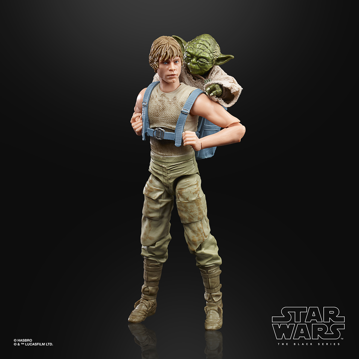 Star Wars The Black Series 6 Inch Luke Skywalker and Yoda Jedi Training Deluxe Figures Oop 4