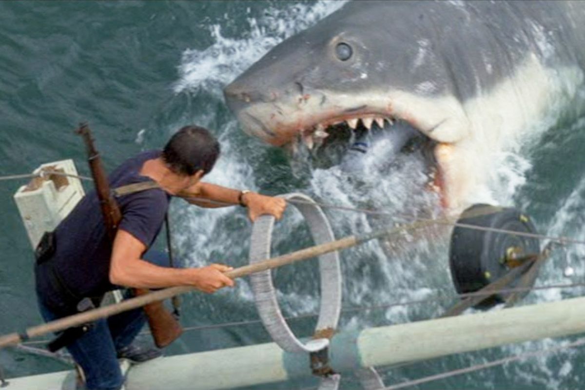 Jaws (1975)