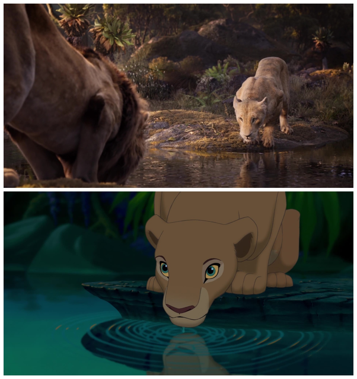 The Lion King