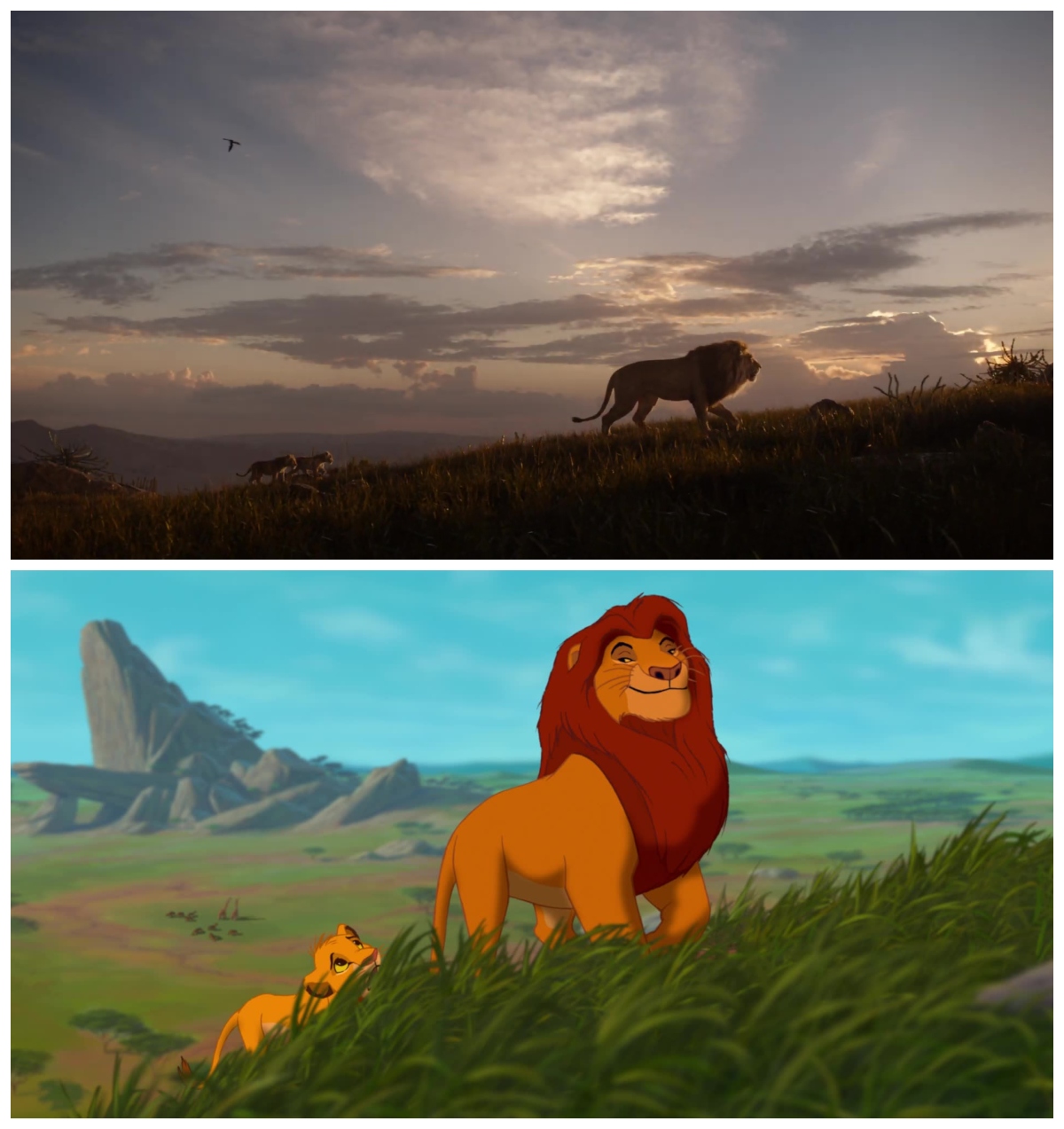 The Lion King
