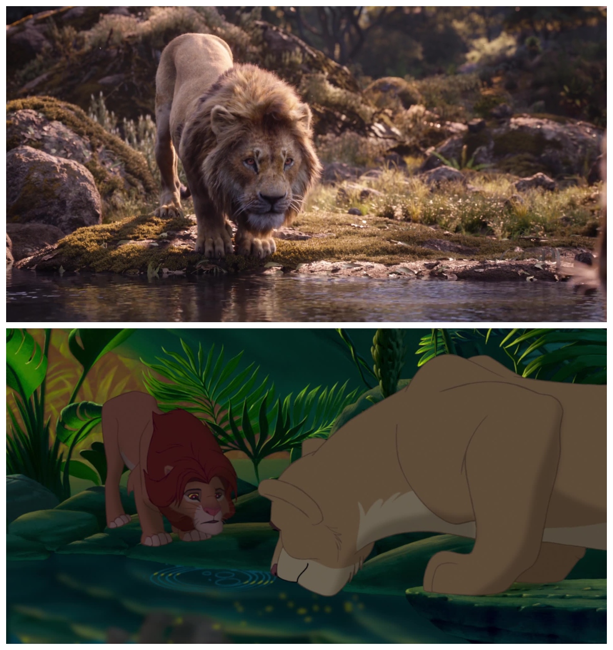 The Lion King