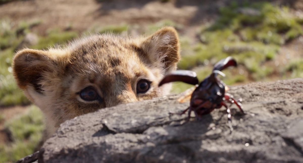 The Lion King