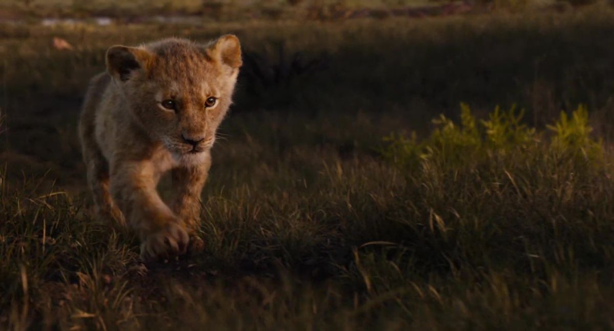 The Lion King