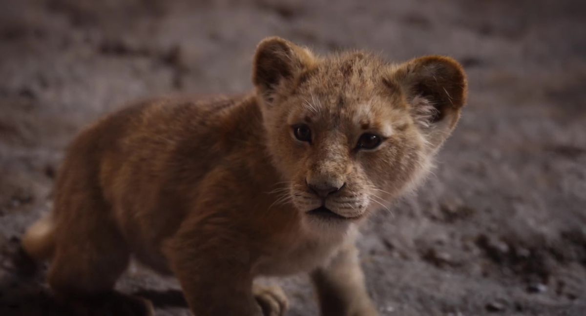 The Lion King