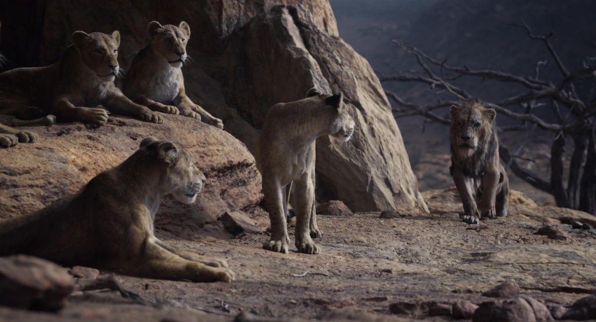 The Lion King