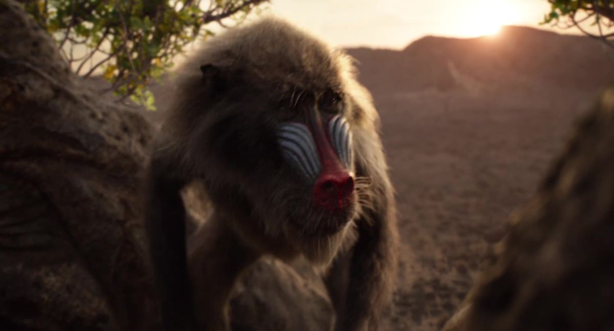 The Lion King