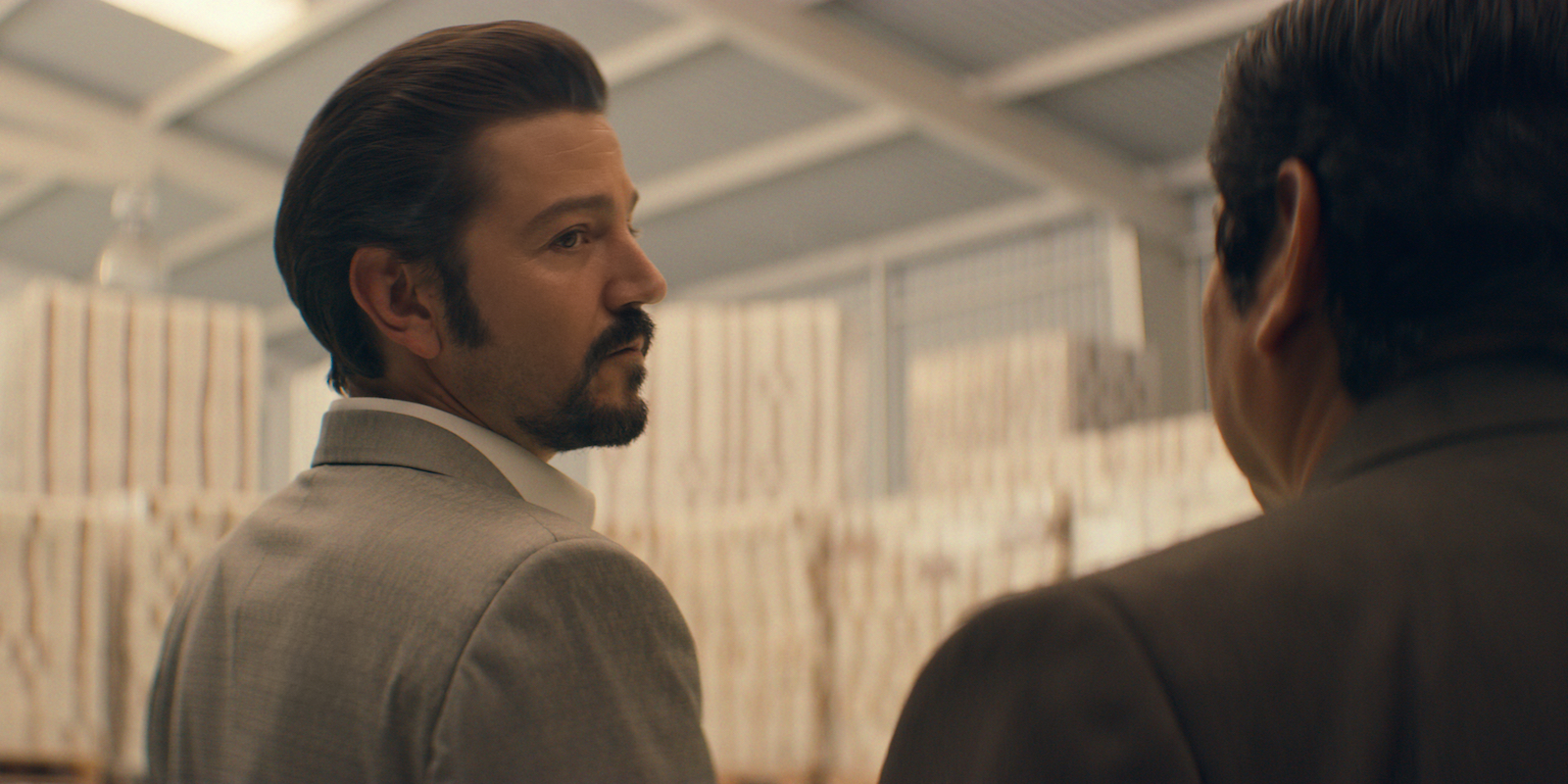 Narcos: Mexico Season 2