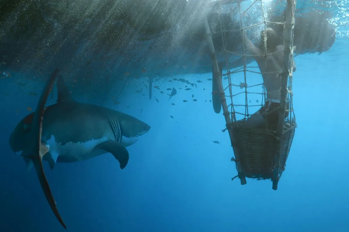 Kon-Tiki (2012)