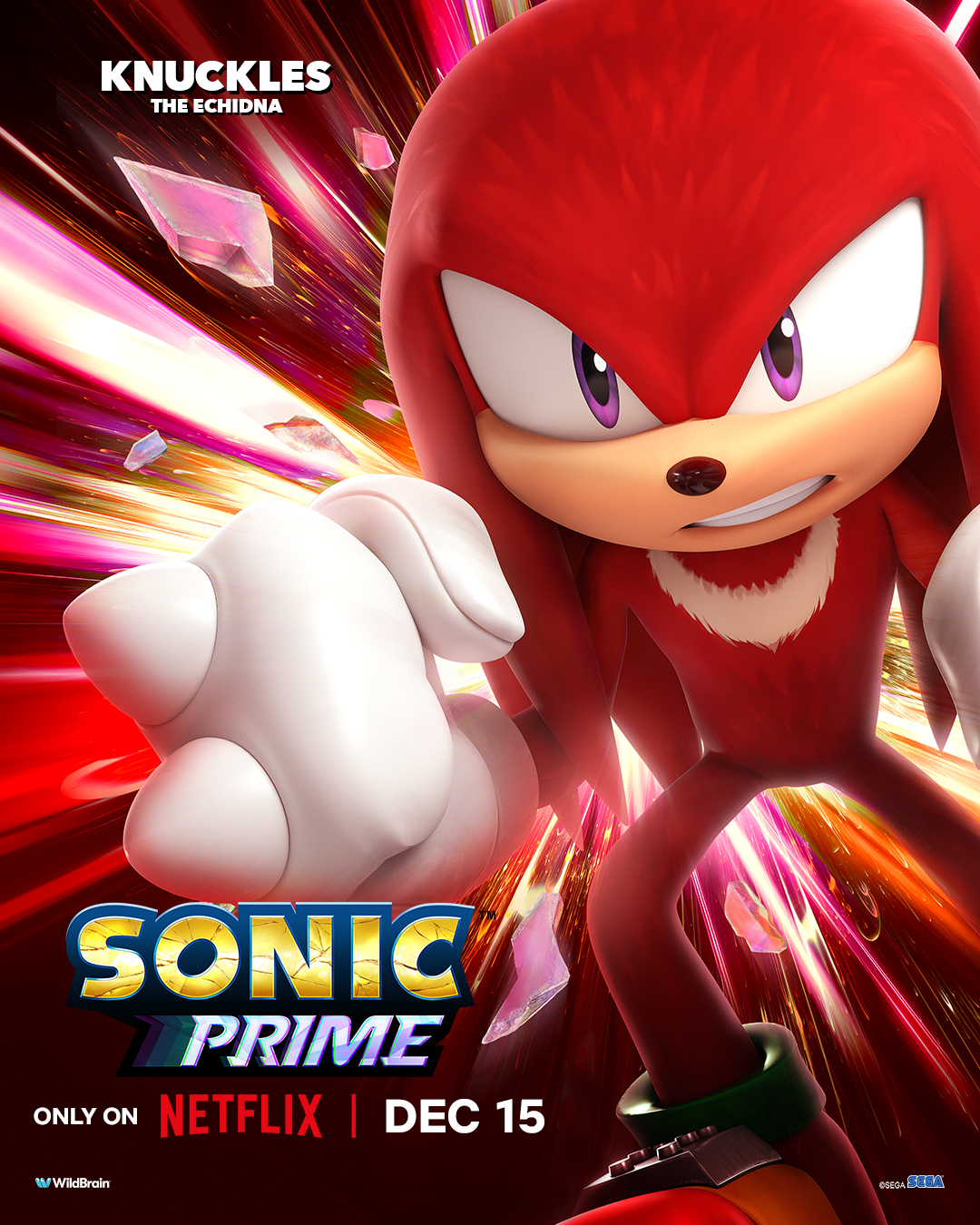 Sonic Prime Season 2 Netflix New Official Poster All Over Print