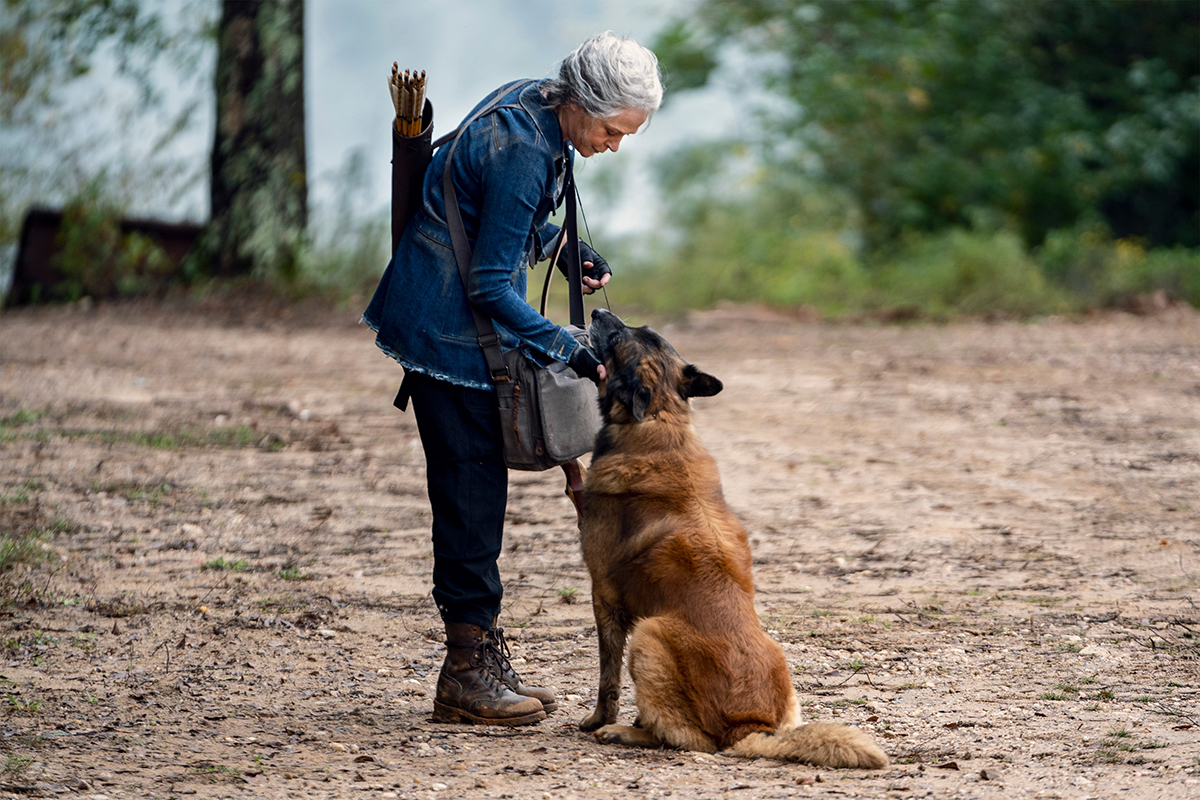 The Walking Dead — Season 10 Extension