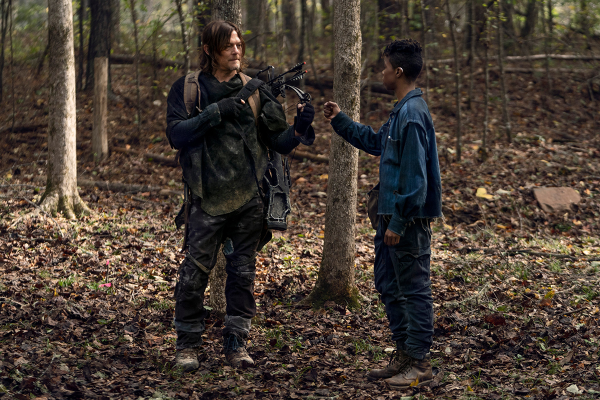 The Walking Dead — Season 10 Extension