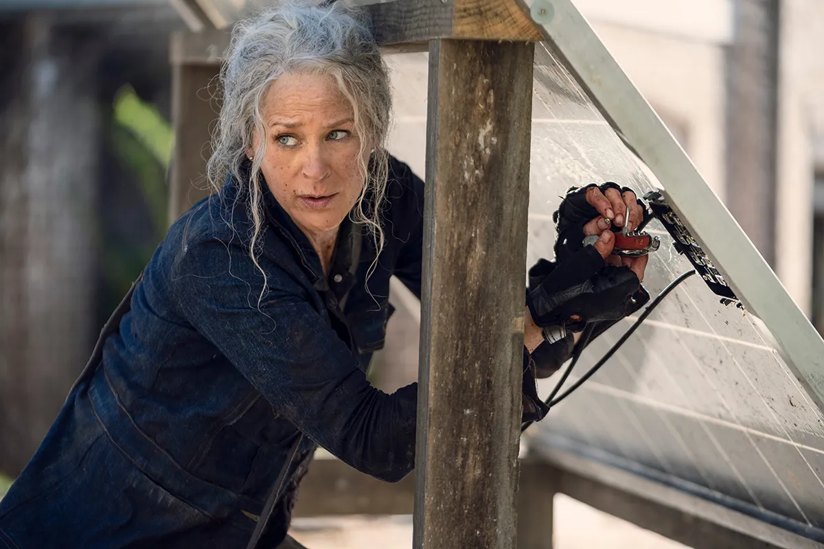 The Walking Dead — Season 10 Extension