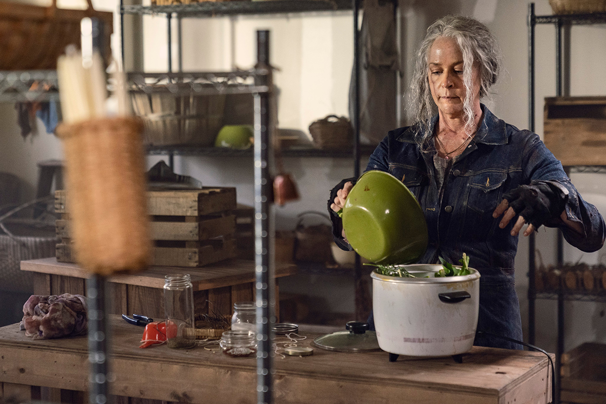 The Walking Dead — Season 10 Extension